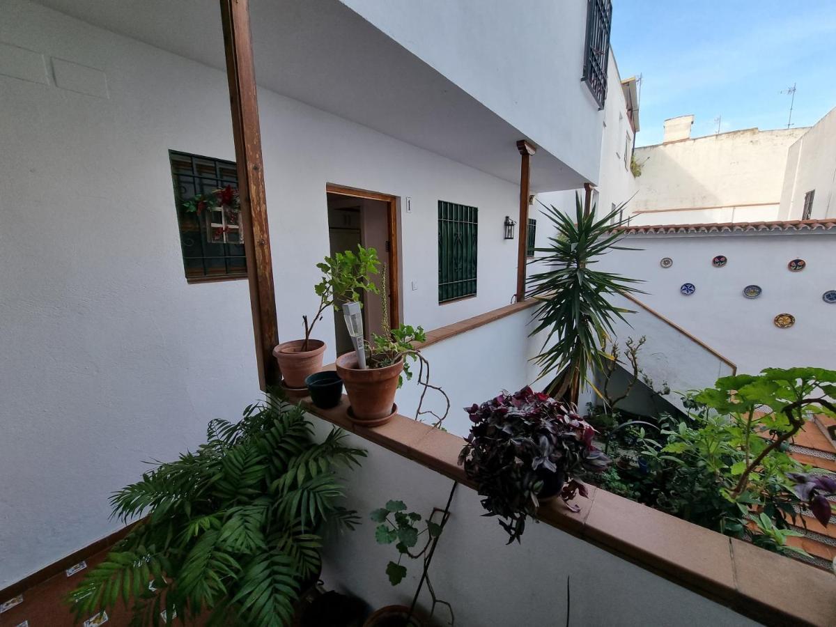 Apartamentos En Patio Cordobes San Basilio กอร์โดบา ภายนอก รูปภาพ