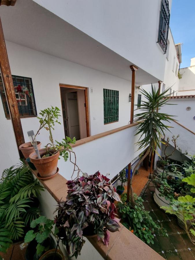 Apartamentos En Patio Cordobes San Basilio กอร์โดบา ภายนอก รูปภาพ